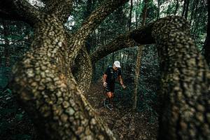 BIB: 
                            <button type="button" onclick="openModal(25393628)" class="btn btn-primary btn-sm float-right btn-popup" data-toggle="modal" data-target=".modal-high-quality">
                        <i class="fas fa-shopping-cart"></i> Add to Cart
                    </button>
                                            <button type="button" onclick="isThisMe(25393628, true)" class="btn btn-success btn-sm float-right btn-popup btn-isme hidden" data-toggle="tooltip" data-placement="bottom" title="นี่คือรูปของคุณใช่ไหม คลิกที่นี่เพื่อเอาเข้าอัลบั้ม">
                        <i class="fas fa-plus"></i> Add to album
                    </button>
                    <button type="button" onclick="isThisMe(25393628, false)" class="btn btn-warning btn-sm float-right btn-popup btn-isnotme hidden">
                        <i class="fas fa-ban"></i> Remove from album
                    </button>